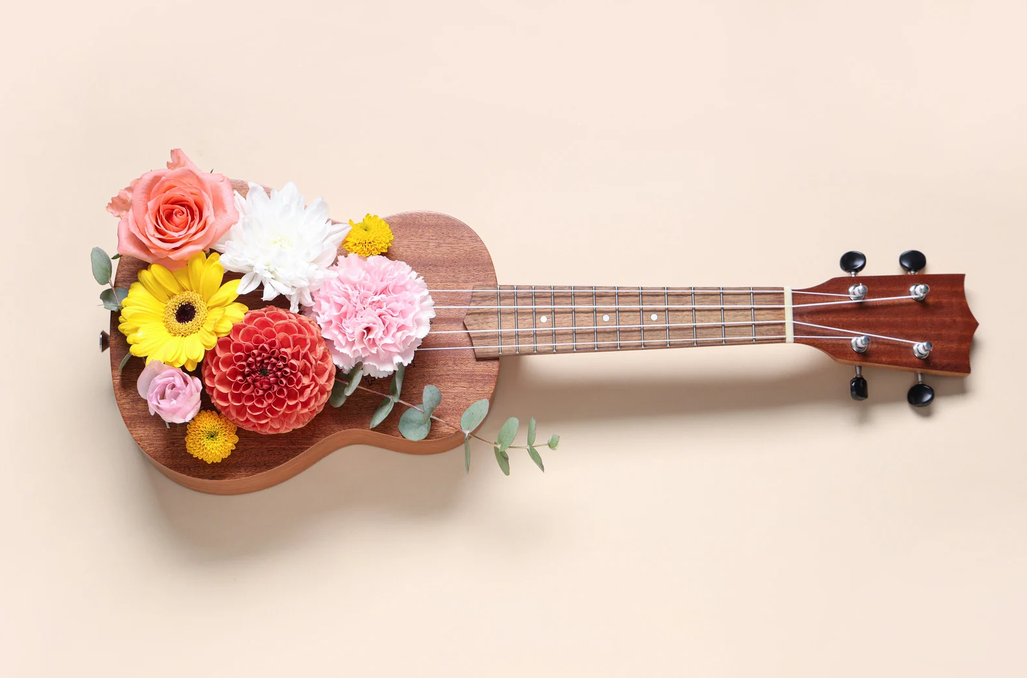 Ukulele │ Workshop für Einsteiger*innen